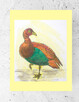 ptaszek obrazek A4, zwierzeta plakat 21x30 - 2
