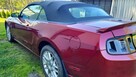 Ford mustang cabrio pony package premium - 2