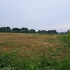Sprzedam działkę 17800m2 w Garwolinie - 1