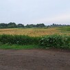 Sprzedam działkę 17800m2 w Garwolinie - 2
