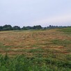 Sprzedam działkę 17800m2 w Garwolinie - 3