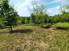 Działka rolno-budowlana Jakubowice Konińskie gm. Niemce - 9