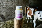 Środek owadobójczy na muchy KOLBA, koncentrat, 500 ml, Kerbl - 2