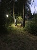 Usuwanie gniazd szerszeni i os. - 2
