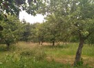 Sprzedam nieruchomość - 2