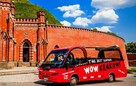 Kierowca autobusu (prawo jazdy kat. D z kodem 95). - 2