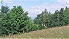 Działka budowlana RABA WYŻNA gm. Gm. Raba Wyżna - 5