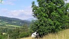 Działka budowlana RABA WYŻNA gm. Gm. Raba Wyżna - 6