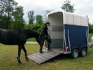 Wypożyczalnia przyczep dla koni oraz transport koni - 4