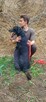 Vincent, za darmo, do świadomej adopcji, 7lat, 22kg - 5