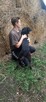 Piękny, dostojny czarny psiak do adopcji - Vincent - 3