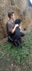 Vincent, za darmo, do świadomej adopcji, 7lat, 22kg - 4