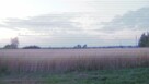 Sprzedam działkę rolną - 2