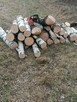 Usługi ogrodnicze - 4