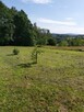 Sprzedam działkę budowlaną, Nowy Wiśnicz - 3