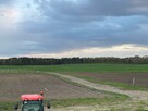 Gospodarstwo rolne (plantacja borówki) o powierzchni 50 ha - 8