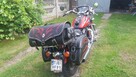 Pilne sprzedam Honda shadow 1.1 95r - 4