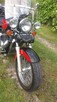 Pilne sprzedam Honda shadow 1.1 95r - 6