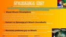 Zabieg Misami Tybetańskimi (SPA) Okolice Radomia, Warszawa - 1