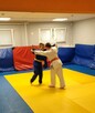 Judo/Jujitsu. - 6