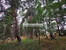 Las. Działka leśna - 2