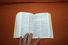 Langenscheidts Taschenwörterbuch Polnisch - 7