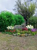 Projekty ogrodów, zielone dachy - 2