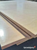 Sklejka 15 mm lakierowana kl. 2/2 1550x2250 - 2