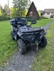 Quad Loncin xWolf 700L - 3