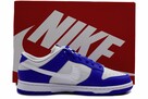 Nike DUNK Low Kentucky Alternate / FN3416–001 - 2