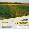 Działki z wydanymi warunkami zabudowy - Przywory Duże - 7