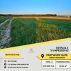 Działki z wydanymi warunkami zabudowy - Przywory Duże - 6