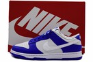 Nike DUNK Low Kentucky Alternate / FN3416–001 - 4