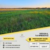 Działki z wydanymi warunkami zabudowy - Przywory Duże - 5