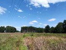 Działka budowlana Żabieniec gm. Parysów, Żabieniec - 6