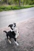 Cudowny Aniołek nie miał łatwego życia odmień jego los - 4