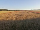 PIĘKNE MIEJSCE WYDZIERŻAWIE 13 KM OD WARSZAWY - 1