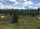 Działka budowlana Bryńsk gm. Lidzbark, Bryńsk - 4