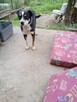Cudowny Aniołek nie miał łatwego życia odmień jego los - 8