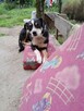 Cudowny Aniołek nie miał łatwego życia odmień jego los - 9