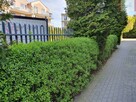 Mieszkanie Władysławowo, Siedleckiego - 7