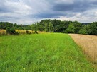 Działka rolna Świńczów gm. Skała - 2