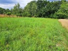 Działka rolna Świńczów gm. Skała - 3