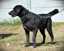 Gambit - czeka na Twój ruch - 3
