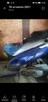 Motorower - 4