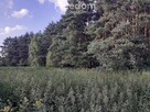 Duża działka  z lasem w Turznie - 1