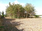 Działka Budowlana – Gmina Ślesin - 5