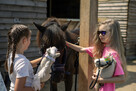 Warsztaty, Treningi Obozy Hobby Horse ! - 5
