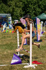 Warsztaty, Treningi Obozy Hobby Horse ! - 2