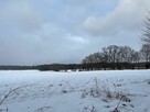 Syndyk sprzeda Nieruchomość w Sownie i Borkowie - 2